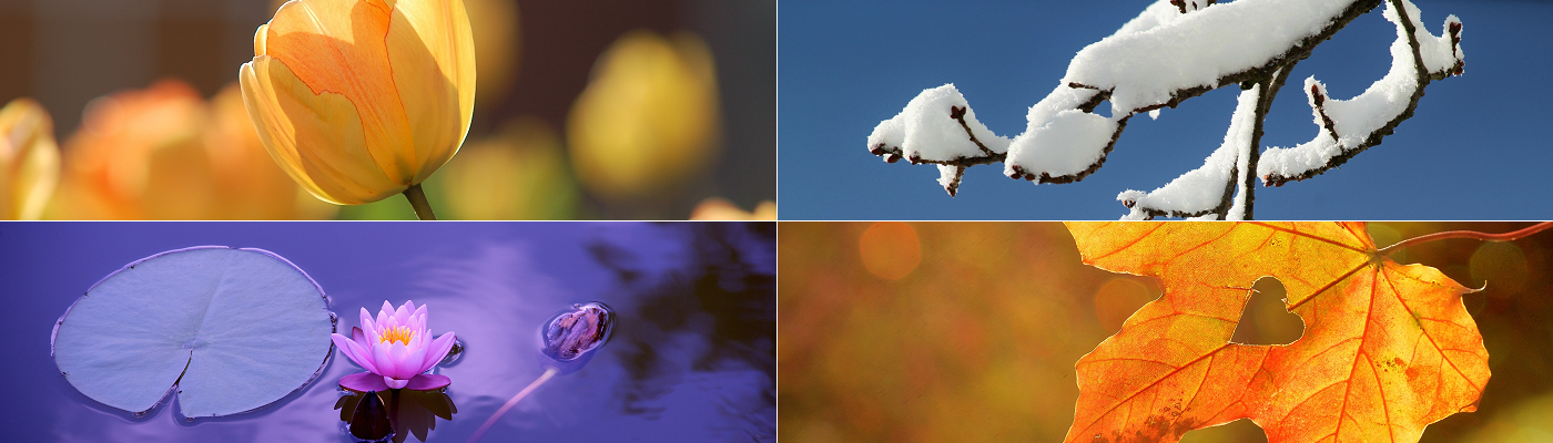 Lydia Maier Imageberatung