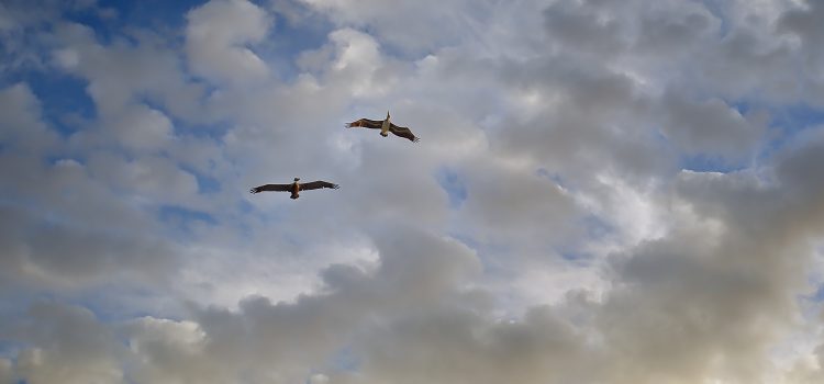 Partner - Lydia Maier Imageberatung